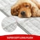 Moonsea Dog Bed Crate Mat30 X 19 Soft Plush Dog Bed Pad Machine Washable Crate Pad Sleeping Mat with Anti Slip Bottom