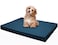 Dogbed4less Memory Foam Platform Dog Bed Crate Mattress for Orthopedic Joint Relief with Waterproof Removable Cover Large 42X28X3 Pacific Blue
