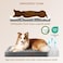 EHEYCIGA Orthopedic XL Dog Beds for Extra Large Dogs with Removable Washable Cover Grey 44x32