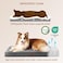 EHEYCIGA Orthopedic XL Dog Beds for Extra Large Dogs with Removable Washable Cover Grey 44x32