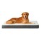EHEYCIGA Orthopedic XXL Dog Beds for Jumbo Dogs with Removable Washable Cover for Crate Beige 47x29