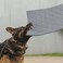MABOZOO Indestructible Dog Bed Chew Proof Crate Pad for Aggressive Chewers Machine Washable Quilted Mat for Small Dogs Durable Grey Kennel Pad 22x35 in