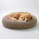 Muddy Mat Cloud K9 Bed for Dogs Cats Soft Relaxing Donut Dog Bed Chenille Material Removable Cover Washable Dryer SafeBeige Large40x40