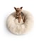 UnHide Floof Pet Bed Small 23 x 8 Extra Soft Dog Bed Removable Faux Fur Cover Machine Washable Helps Ease Pet Anxiety Provides the Perfect Sleep Beige Bear