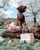 Pawskido 2 Pack Easter Dog Bandana Triangle Bib Pet Scarf Accessories for Spring