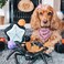 BoomBone 2 Pack Halloween Dog BandanaTriangle Bibs Pet Scarf for Dogs Large