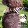 MAMORE Adjustable Plaid Dog Bandanas1PC Soft Washable Cotton Triangle Bib Kerchief Scarfs for Small Medium Large Dogs and Cats BrownBlue Small