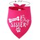 Pawskido Big Sister Dog BandanaReversible Triangle Bibs Pet Scarf