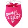 Pawskido Big Sister Dog BandanaReversible Triangle Bibs Pet Scarf