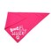 Pawskido Big Sister Dog BandanaReversible Triangle Bibs Pet Scarf