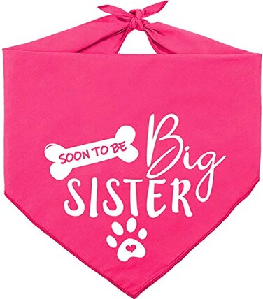 Pawskido Big Sister Dog BandanaReversible Triangle Bibs Pet Scarf