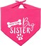 Pawskido Big Sister Dog BandanaReversible Triangle Bibs Pet Scarf