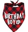 PICKUPIK Birthday Boy Dog Bandana