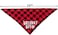 PICKUPIK Birthday Boy Dog Bandana