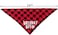 PICKUPIK Birthday Boy Dog Bandana
