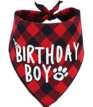 PICKUPIK Birthday Boy Dog Bandana