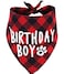 PICKUPIK Birthday Boy Dog Bandana