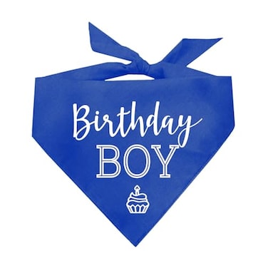 Tees & Birthday Boy with Cupcake Dog Pawdy Celebration Printed Dog Bandana Royal OS 214