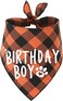 PICKUPIK Boy Dog Birthday Bandana