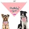 Bubblepup Dog Birthday Bandana for Boys Girls