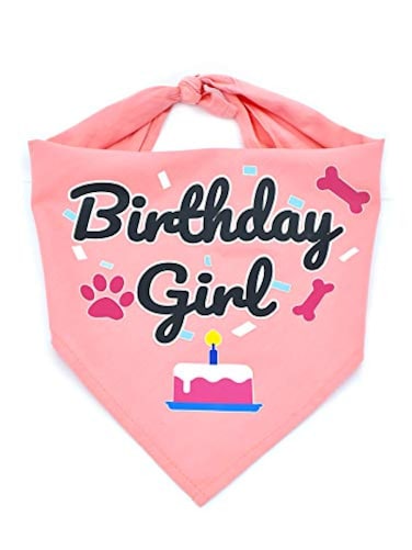 Bubblepup Dog Birthday Bandana for Boys Girls