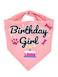 Bubblepup Dog Birthday Bandana for Boys Girls