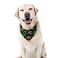 Pudodo Cinco De Mayo Dog Bandana Mexican Fiesta Cactus Triangle Dog Scarf Adjustable Accessories for Small Medium Dogs Cats Pets