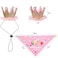 ISMARTEN Dog Bandana Set Puppy Birthday Hat Scarf for Small Medium Dog Pet Pink