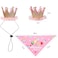 ISMARTEN Dog Bandana Set Puppy Birthday Hat Scarf for Small Medium Dog Pet Pink