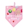 ISMARTEN Dog Bandana Set Puppy Birthday Hat Scarf for Small Medium Dog Pet Pink