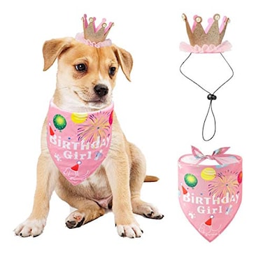 ISMARTEN Dog Bandana Set Puppy Birthday Hat Scarf for Small Medium Dog Pet Pink