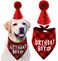 PICKUPIK Dog Birthday Hat and Dog Birthday Bandana Boy Set