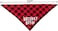 PICKUPIK Dog Birthday Hat and Dog Birthday Bandana Boy Set
