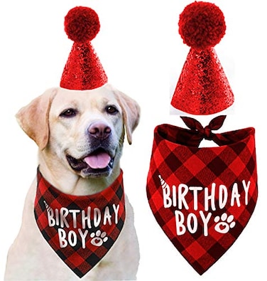 PICKUPIK Dog Birthday Hat and Dog Birthday Bandana Boy Set