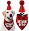 PICKUPIK Dog Birthday Hat and Dog Birthday Bandana Boy Set