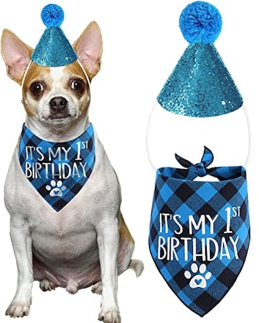 PICKUPIK Dog First Birthday Bandana and Hat Set for Boy Party Supplies for Puppy