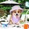 Eccliy 30 Pack Dog Bandanas Summer Bulk Adjustable Flower Dog Scarfs Soft Washable Triangle Polyester Bandana Cat Costume Bibs with Flowers Patterns for Boy Girl Medium Pet Grooming Accessories Spring