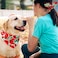 E-Clover EClover Dog Bandanas Summer Matching Scrunchie Set Dog Bandana Bibs Washable Kerchief Scarf for Medium Large Dogs Owner Watermelon