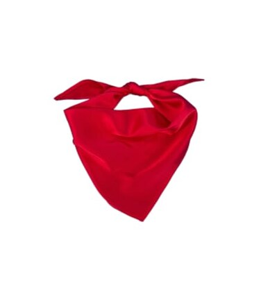 EechicSpace 1 Pack Dog Bandana Red Chiffon for Small Dogs