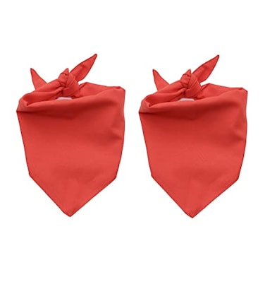 EechicSpace 2 Pack Blank Dog Bandana Red for Small Dogs