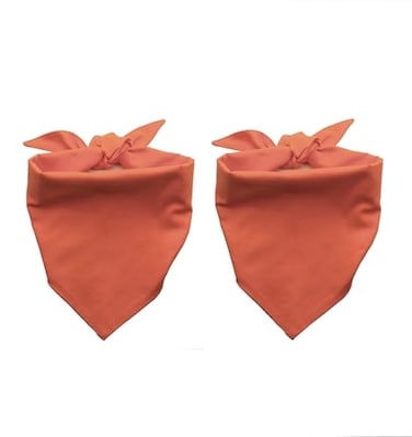 EechicSpace 2 Pack Orange Dog Bandanas Blank Cotton for Medium Large Dogs