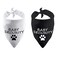 BLUPARK Funny Dog Bandana Baby Security in Training Triangle Printed Bibs Pet Scarf Baby Security