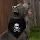 GRAPHICS & GRAPHICS MORE Pirate Skull Crossed Swords Tattoo Design Dog Pet Bandana Black