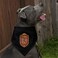 GRAPHICS & Harry Potter Gryffindor Plaid Sigil Dog Pet Bandana 21 Inches