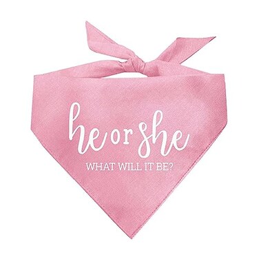 Tees & He Or She What Will It Be Gender Reveal Dog Bandana Baby Pink OS 707