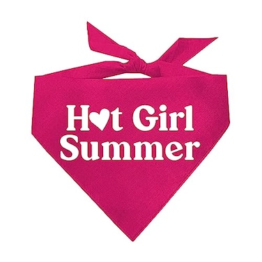 Tees & Hot Girl Summer Dog Bandana Hot Pink OS 310