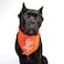 Tees & I Love My Dad Fathers Day Dog Bandana 178 Navy One Size