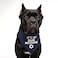 Tees & Its My Bark Mitzvah Jewish Star Triangle Dog Bandana Pink OS 162