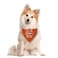 ZPPRJF Its My Gotcha Day Triangle Dog Scarf Orange Funny Cute for Small to Large Dogs