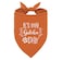 ZPPRJF Its My Gotcha Day Triangle Dog Scarf Orange Funny Cute for Small to Large Dogs